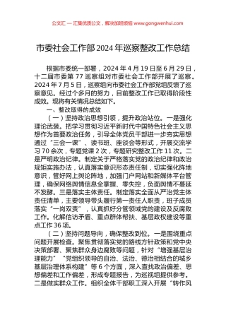 市委社会工作部2024年巡察整改工作总结 (2)