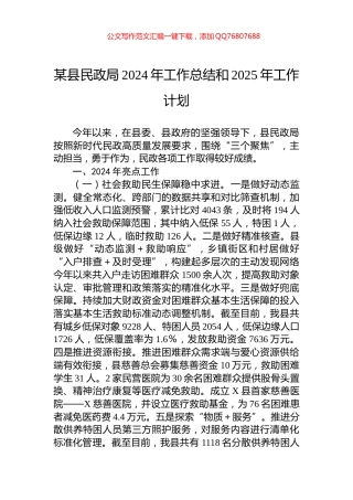 某县民政局2024年工作总结和2025年工作计划