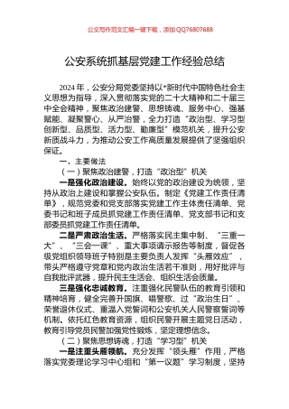 公安系统抓基层党建工作经验总结