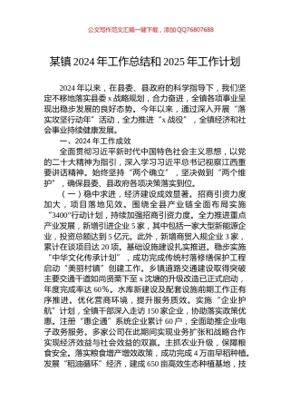 某镇2024年工作总结和2025年工作计划