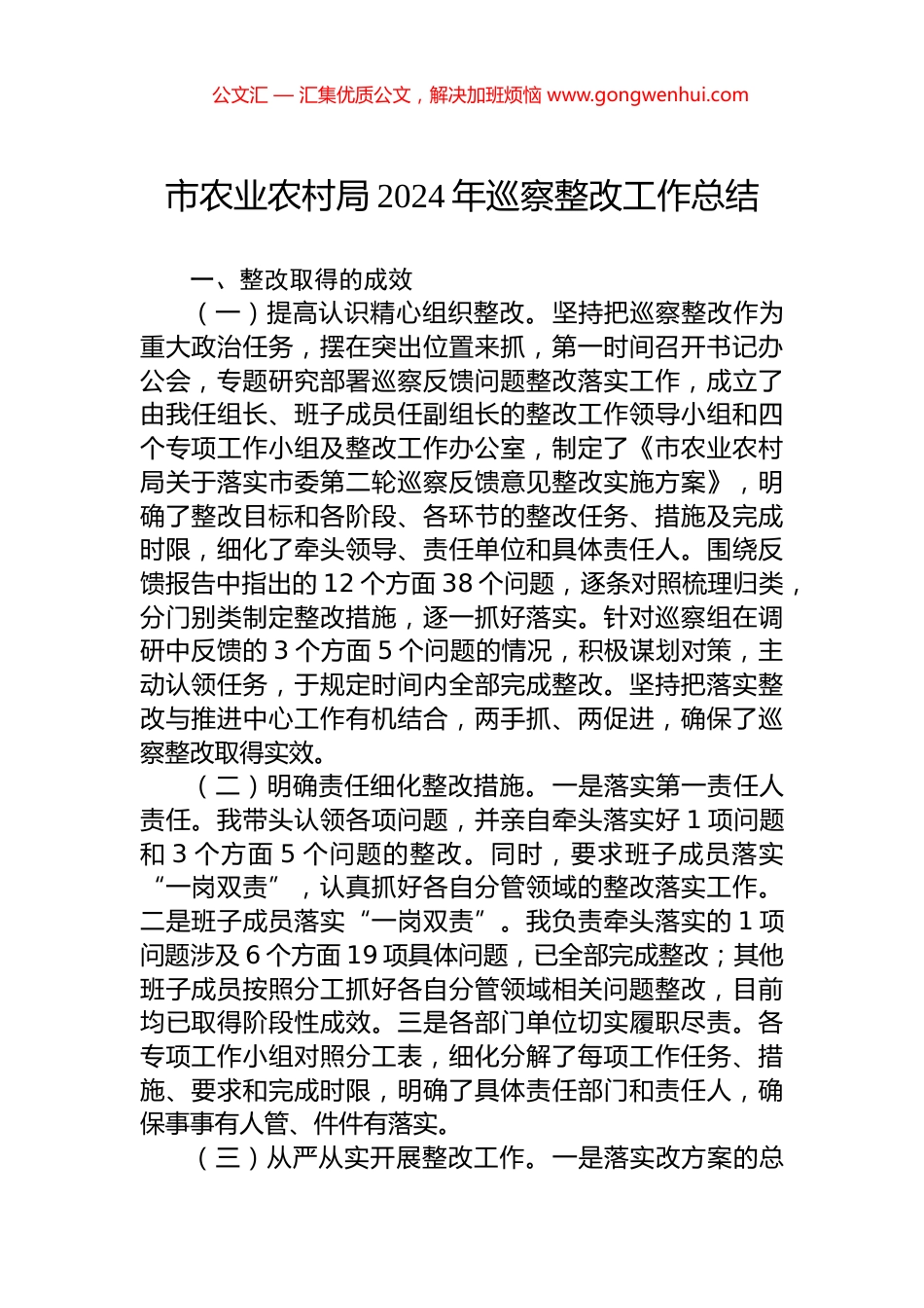 市农业农村局2024年巡察整改工作总结_第1页