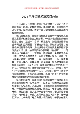 2024年度街道经济项目总结