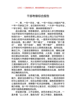 干部考察综合报告