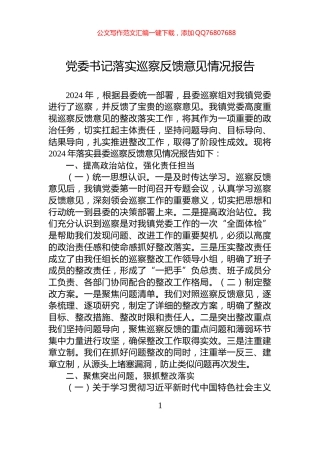 党委书记落实巡察反馈意见情况报告