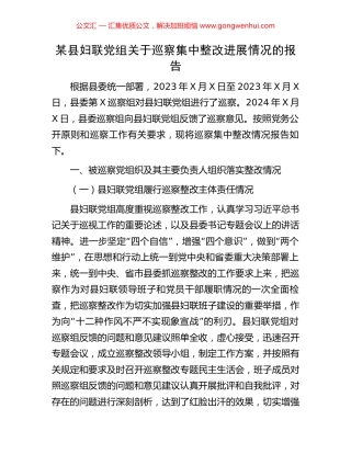 某县妇联党组关于巡察集中整改进展情况的报告