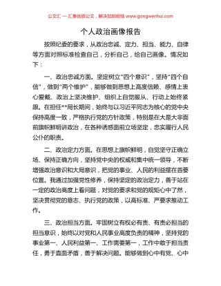 个人政治画像报告