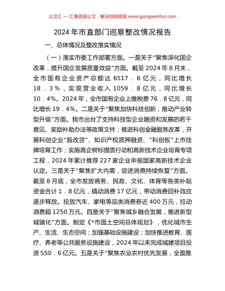 2024年市直部门巡察整改情况报告