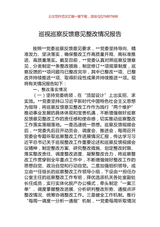 巡视巡察反馈意见整改情况报告