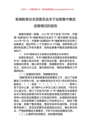 某镇教育总支部委员会关于巡察集中整改进展情况的报告
