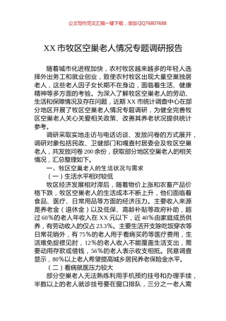 XX市牧区空巢老人情况专题调研报告