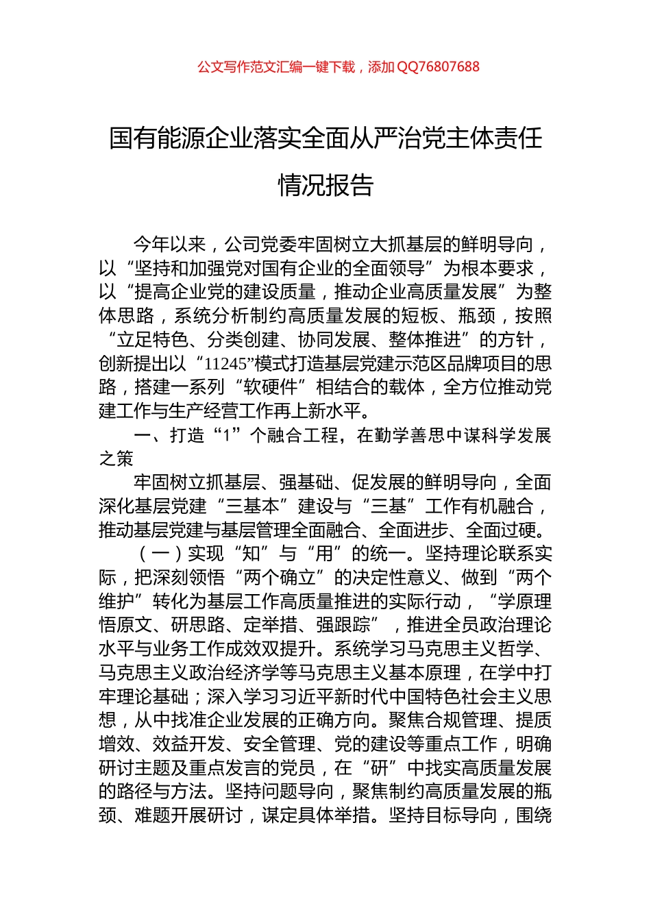 2024年国有能源企业落实全面从严治党主体责任情况报告_第1页