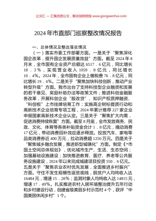 2024年市直部门巡察整改情况报告 (2)