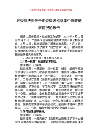 县委政法委关于市委提级巡察集中整改进展情况的报告
