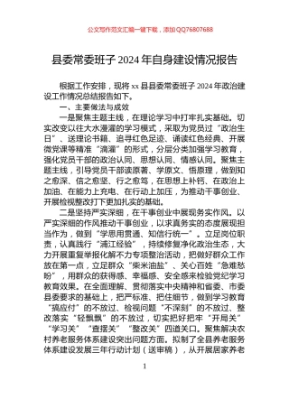 县委常委班子2024年自身建设情况报告