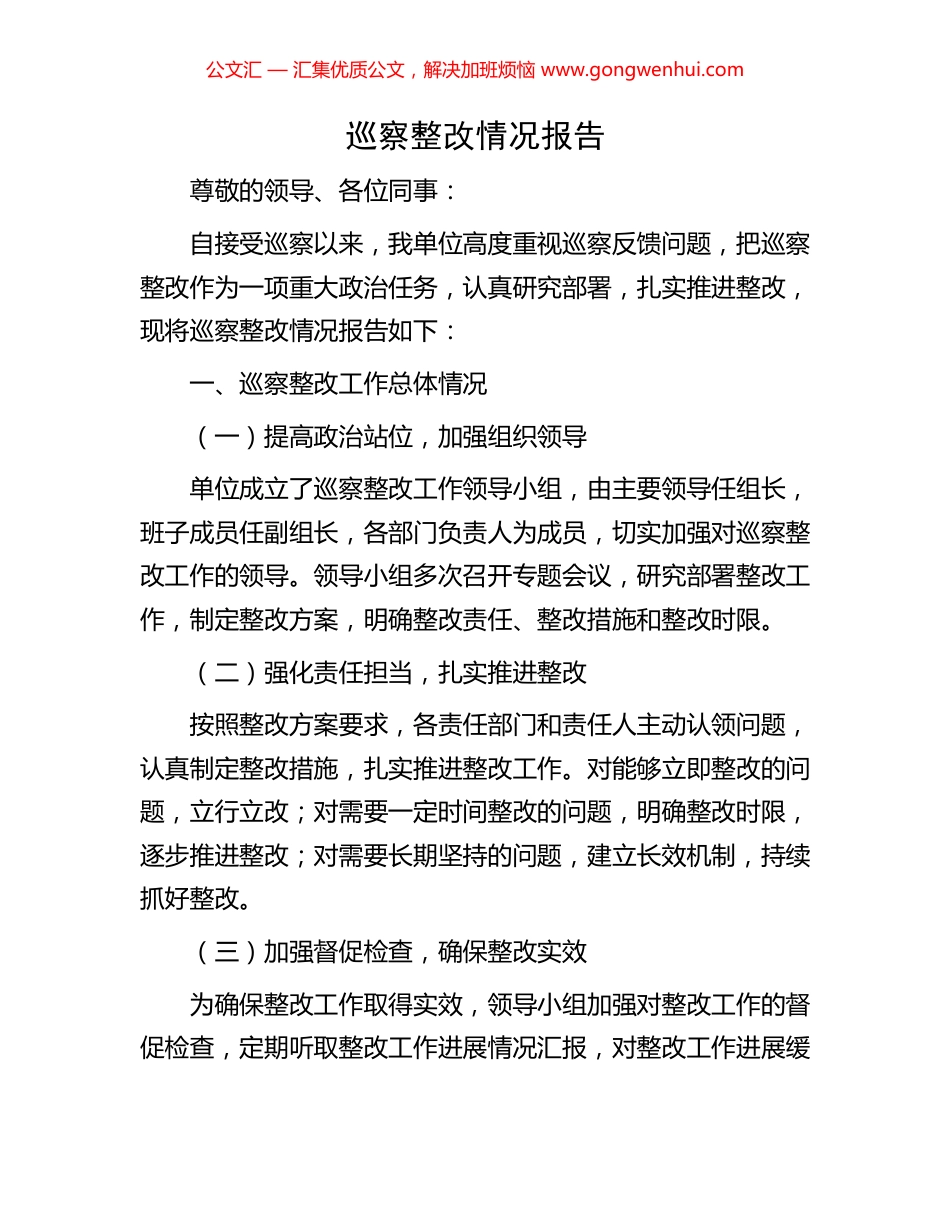 巡察整改情况报告_第1页