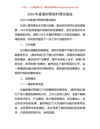 2024年度强村带弱村情况报告