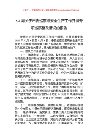 XX局关于市委巡察组安全生产工作开展专项巡察整改情况的报告