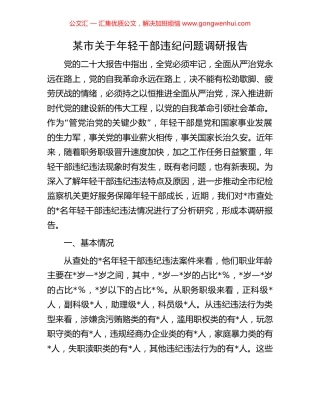 某市关于年轻干部违纪问题调研报告