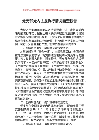 党支部党内法规执行情况自查报告