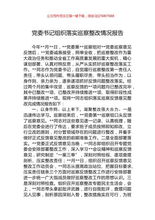党委书记组织落实巡察整改情况报告