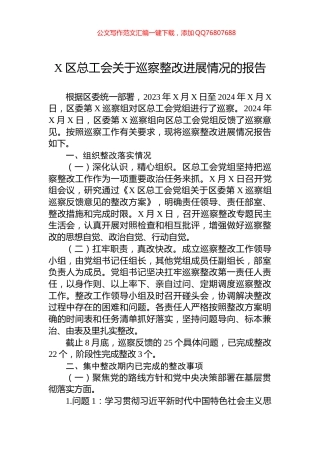 X区总工会关于巡察整改进展情况的报告
