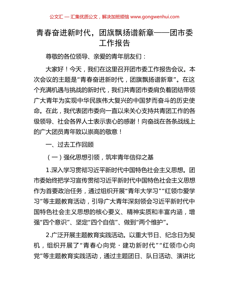 青春奋进新时代，团旗飘扬谱新章——团市委工作报告_第1页