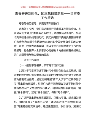 青春奋进新时代，团旗飘扬谱新章——团市委工作报告