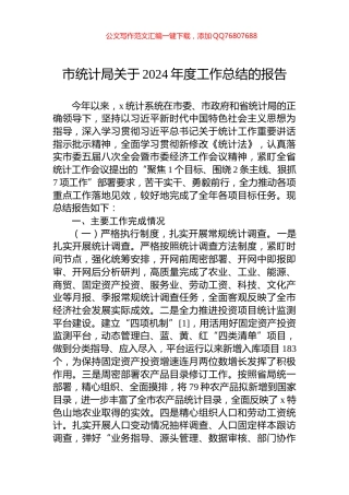市统计局关于2024年度工作总结的报告