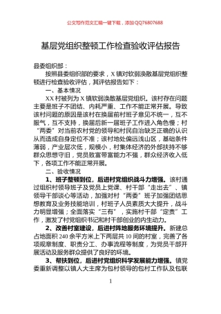 基层党组织整顿工作检查验收评估报告