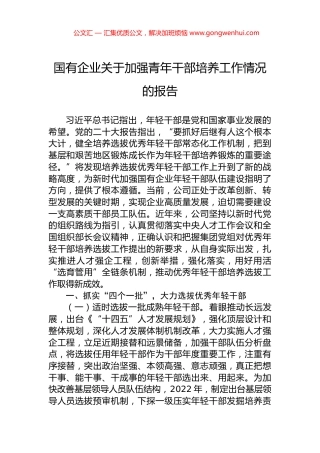 国有企业关于加强青年干部培养工作情况的报告