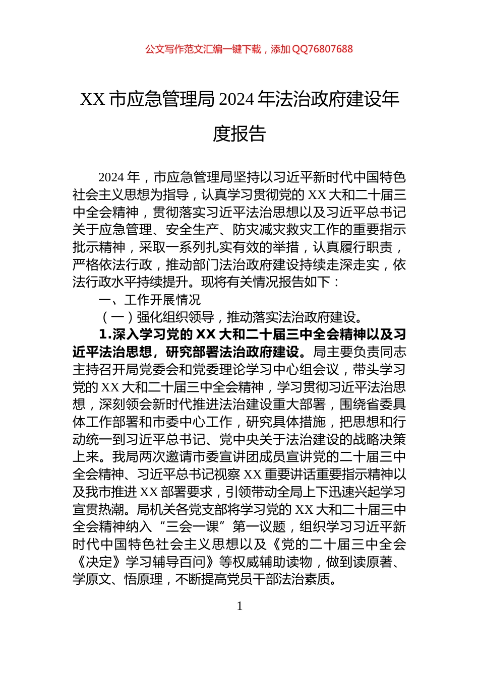 XX市应急管理局2024年法治政府建设年度报告_第1页