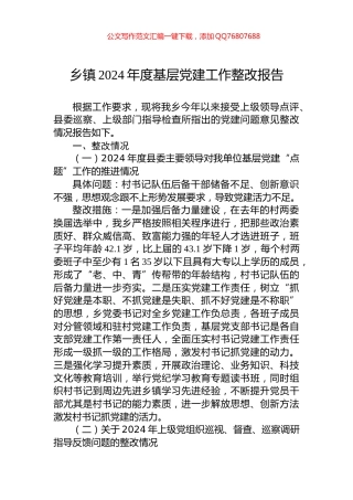 乡镇2024年度基层党建工作整改报告