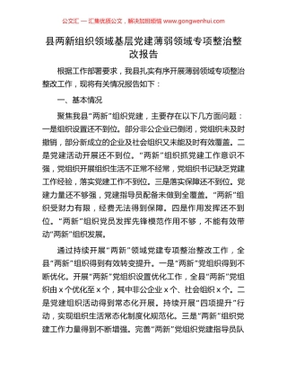 县两新组织领域基层党建薄弱领域专项整治整改报告
