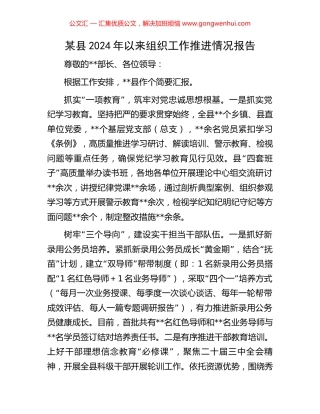 某县2024年以来组织工作推进情况报告