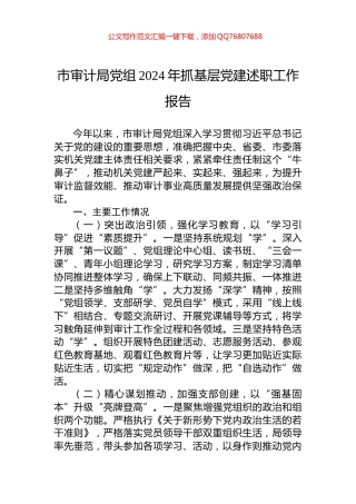 市审计局党组2024年抓基层党建述职工作报告