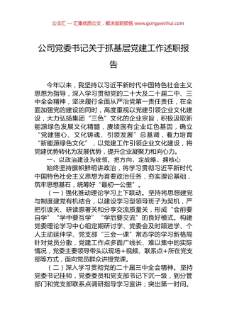 公司党委书记关于抓基层党建工作述职报告