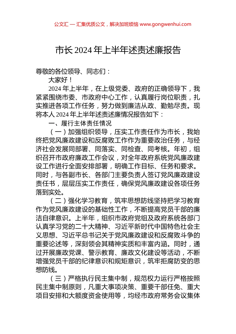 市长2024年上半年述责述廉报告_第1页