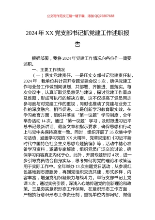 2024年XX党支部书记抓党建工作述职报告