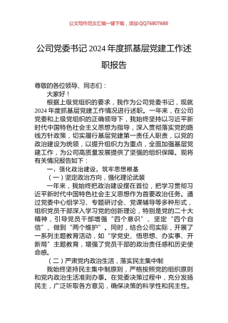 公司党委书记2024年度抓基层党建工作述职报告