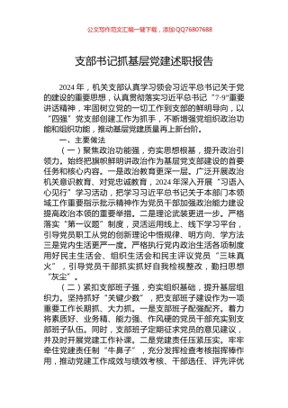 支部书记抓基层党建述职报告