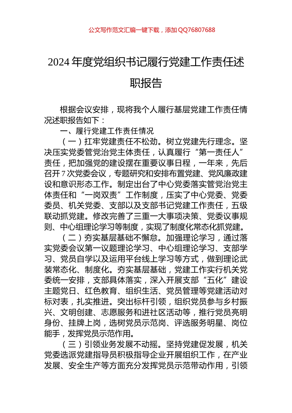 2024年度党组织书记履行党建工作责任述职报告_第1页