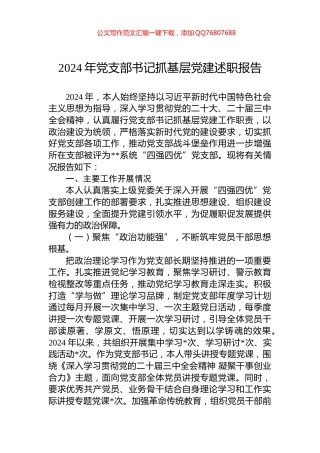 2024年党支部书记抓基层党建述职报告