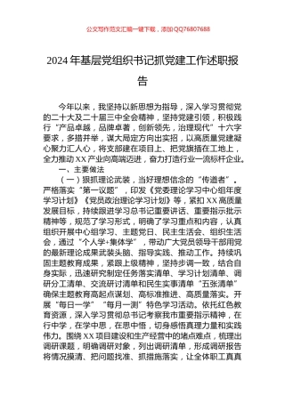 2024年基层党组织书记抓党建工作述职报告