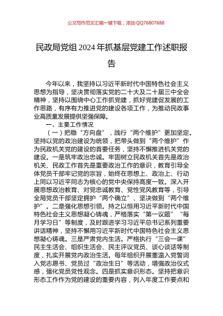 民政局党组2024年抓基层党建工作述职报告