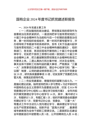 国有企业2024年度书记抓党建述职报告