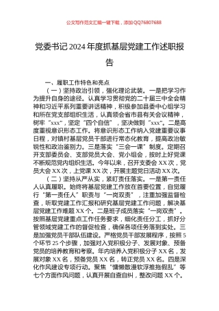 党委书记2024年度抓基层党建工作述职报告