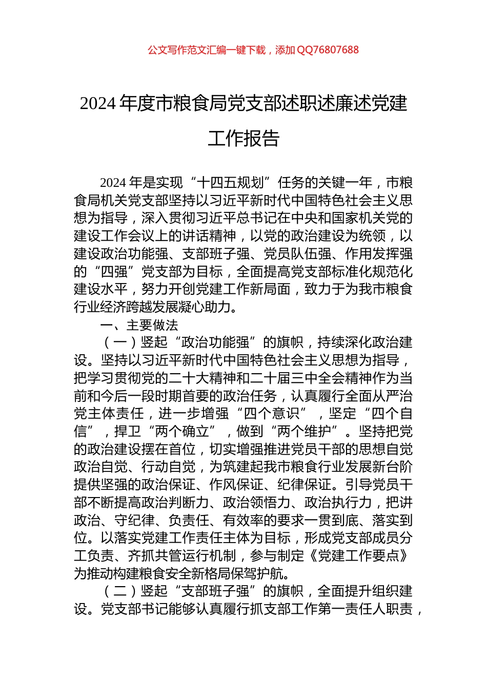 2024年度市粮食局党支部述职述廉述党建工作报告_第1页