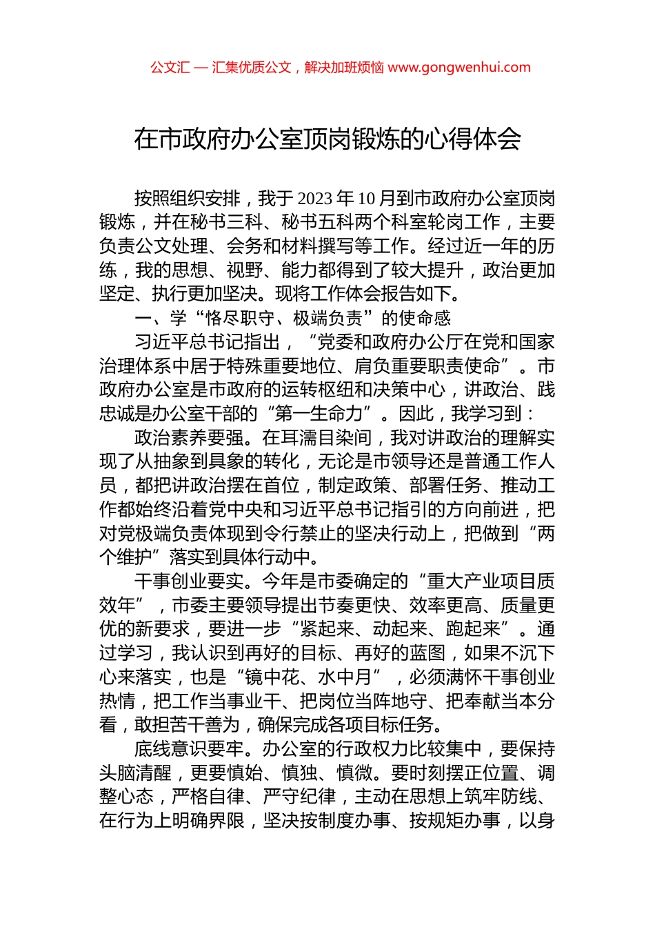 在市政府办公室顶岗锻炼的心得体会_第1页