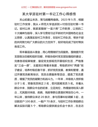 某大学派驻村第一书记工作心得感悟