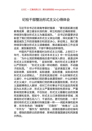 纪检干部整治形式主义心得体会